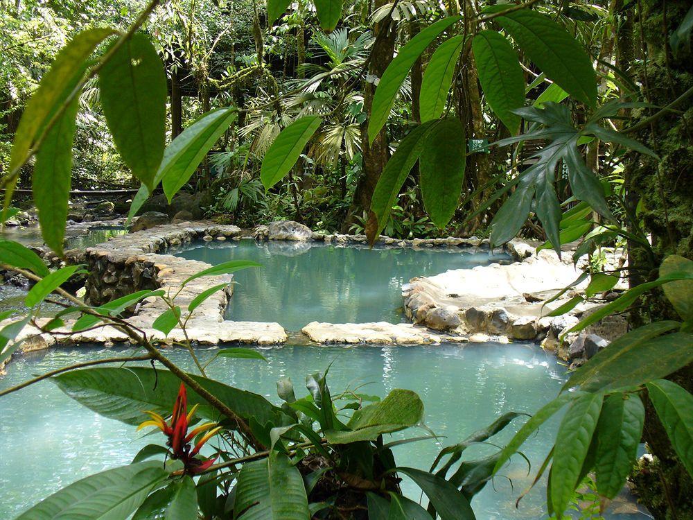 Termales Del Bosque & Hot Springs Hotel La Marina Exterior foto