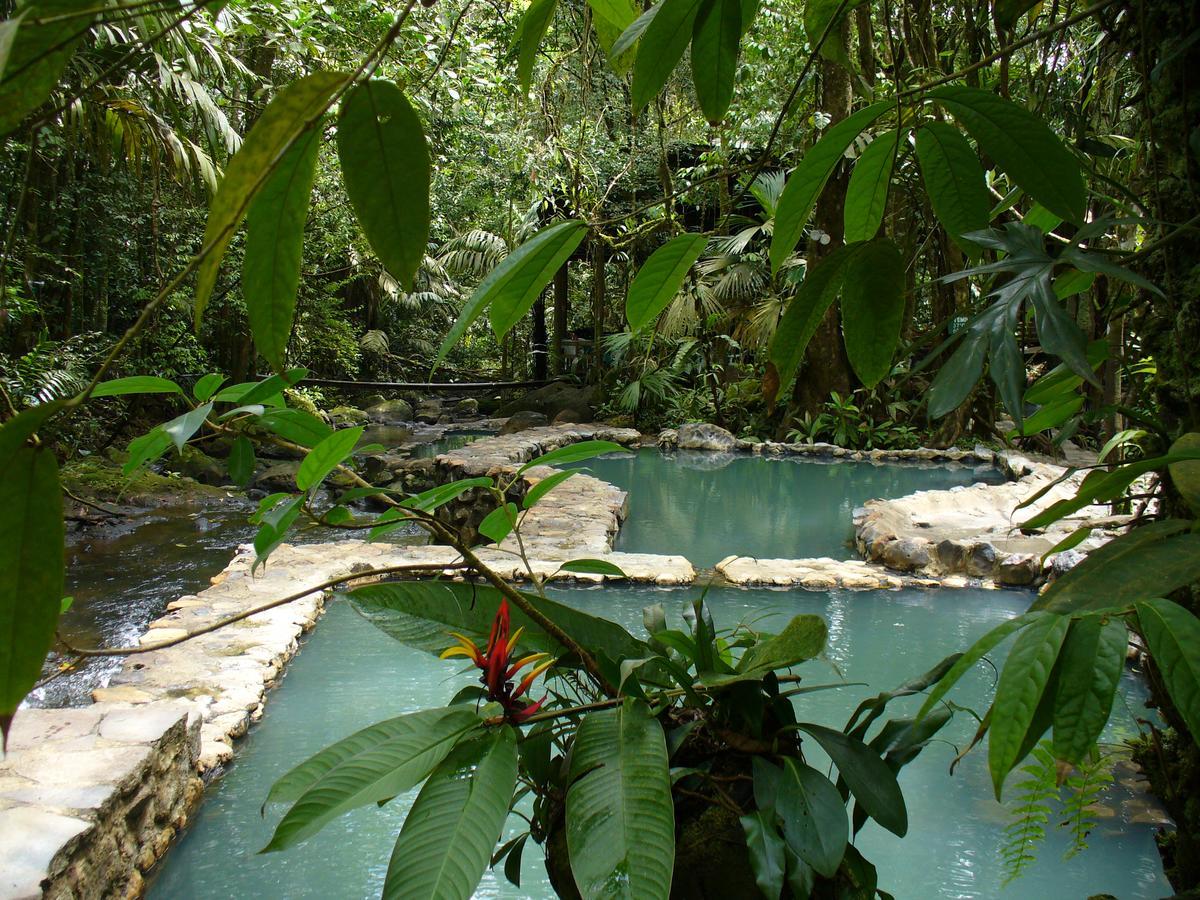 Termales Del Bosque & Hot Springs Hotel La Marina Exterior foto