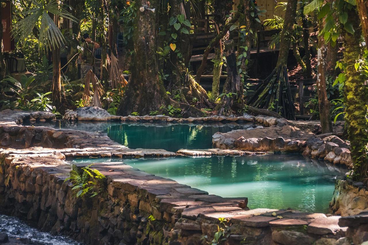 Termales Del Bosque & Hot Springs Hotel La Marina Exterior foto