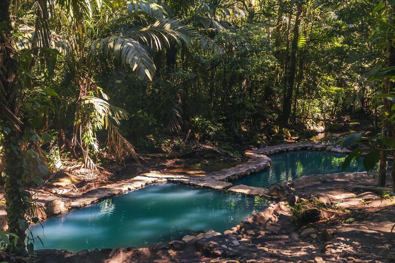 Termales Del Bosque & Hot Springs Hotel La Marina Exterior foto